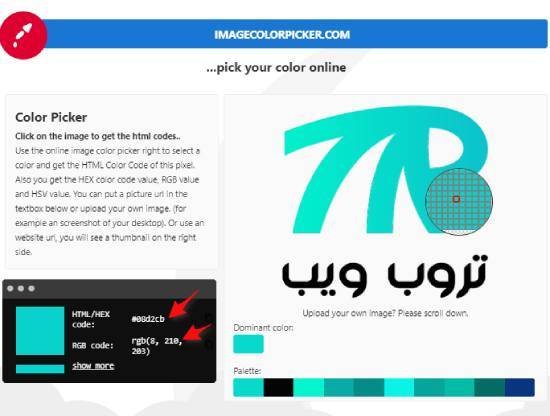 كيفية معرفة كود اللون في أي صورة