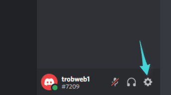 إعدادات المستخدم على Discord